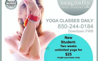 Yoga Class Specials | November at Dragonfly Yoga