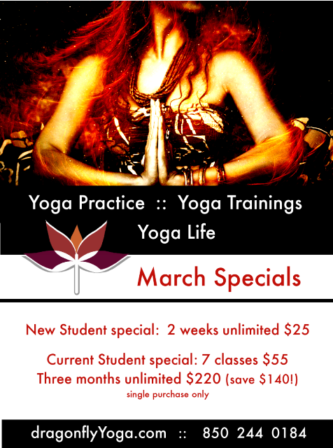 dragonfly yoga studio march yoga class specials