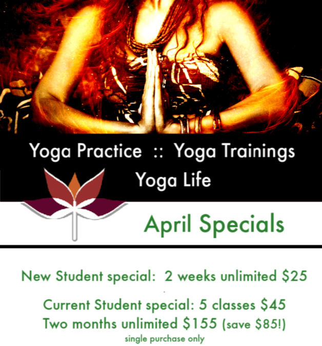 dragonfly yoga studio april 2019 yoga class specials