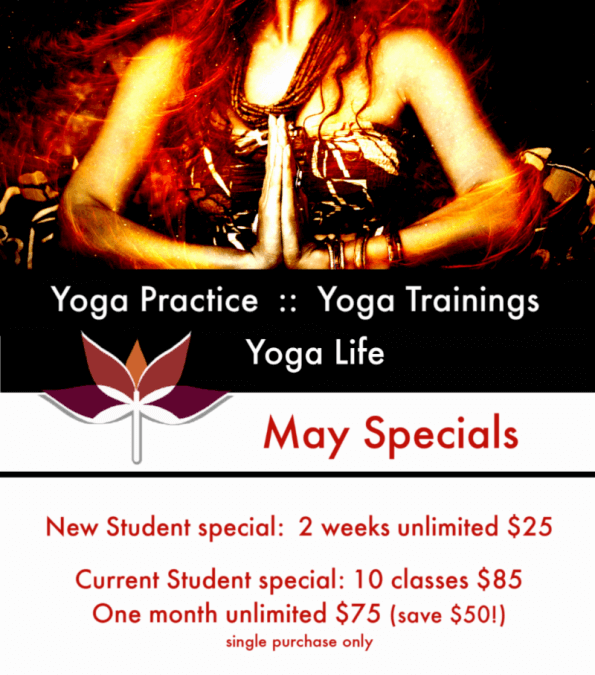 May 2019 Dragonfly Yoga News & Yoga Class Specials