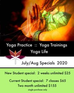 dragonfly yoga studio august 2020 yoga class specials