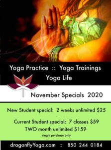 Dragonfly Yoga Studio November 2020 specials